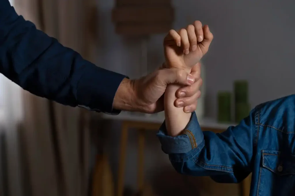 diferencia entre violencia de genero y domestica